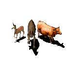 Animals - Stronghold: Crusader
