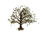 Trees and Cacti - Stronghold: Crusader
