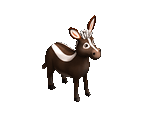Striped Donkey - Big Farm Theory