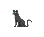 Help Cat - Photo Channel
