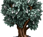 Silver Maple - Fairy Farm