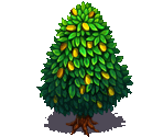 Money Tree - Fairy Farm