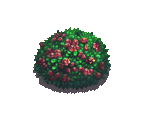 Raised Rosebush - Fairy Farm