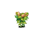 Pistachio Nuts - Fairy Farm