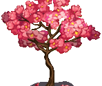 Sakura - Fairy Farm
