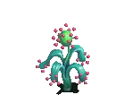 Nailflower - Fairy Farm