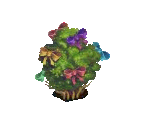 Bants Bush - Fairy Farm