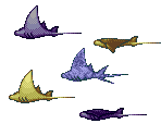 Stingrays - Ecco Jr.