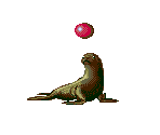 Seal - Ecco Jr.