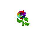 Rainbow Rose - Fairy Farm