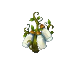 Milk Flower - Fairy Farm