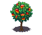 Apple Tree - Fairy Farm