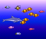 Fish - Ecco the Dolphin