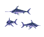 Swordfish - Ecco Jr.