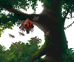 Bees - Kolibri (32X)
