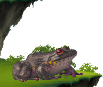 Toad - Kolibri (32X)