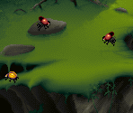 Beetles - Kolibri (32X)
