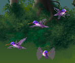 Purple Hummingbird - Kolibri (32X)