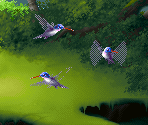 Silver Hummingbird - Kolibri (32X)