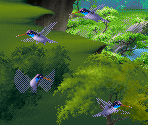 Light Blue Hummingbird - Kolibri (32X)