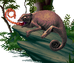 Chameleon - Kolibri (32X)