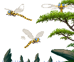 Dragonfly - Kolibri (32X)