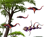 Parasites - Kolibri (32X)