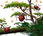 Somersaulting Spider - Kolibri (32X)