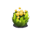 Dandelion - Fairy Farm