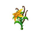 Excellent Vanilla - Fairy Farm