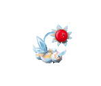 Sugar Cranberry - Fairy Farm