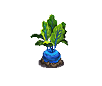 Moon Beet - Fairy Farm