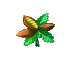Chocolate Beans - Fairy Farm