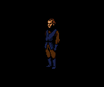 Town NPCs (Classic) - The Dark Spire