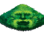 Speaking Hill - Fairy Farm