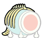 Fossil - Taiko no Tatsujin: Don to Katsu no Jikuu Daibouken (JPN)