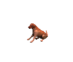 Dog 1 - Siege of Avalon