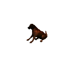 Dog 2 - Siege of Avalon