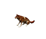 Wolf 2 - Siege of Avalon