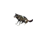 Wolf 1 - Siege of Avalon