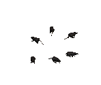 Rat - Siege of Avalon