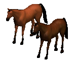 Horse - Siege of Avalon