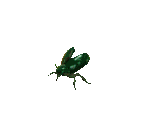 Beetle - Siege of Avalon