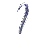 Hydros - Ultima VIII: Pagan