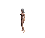Medium Hair Grey - Siege of Avalon
