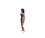 Medium Hair Dark - Siege of Avalon