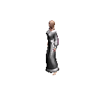 Nobel Dress 6 - Siege of Avalon