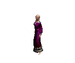 Nobel Dress 3 - Siege of Avalon
