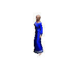 Nobel Dress 2 - Siege of Avalon