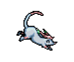 17 - Bandicute - Monster Racers